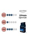 Moliendo Ethiopia Djimmah Yöresel Kahve ( Çekirdek Kahve ) 250 G.