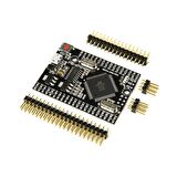 Arduino Mega 2560 Pro Mini (CH340)