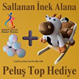 GALEN Sallanan İnek 