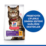 Hill's Adult Sensitive Stomach Skin Tavuklu 1.5 kg Hassas Yetişkin Kuru Kedi Maması