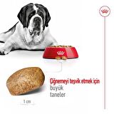 Royal Canin Dev Irklar için Yetişkin Köpek Maması 15 Kg