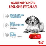 Royal Canin Orta Irklar için Yavru Yaş Köpek Maması 140g