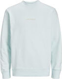 JACK & JONES JORLAFAYETTE EMB SWEAT CREW NECK Sweatshirt Erkek
