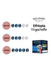 Moliendo Ethiopia Yirgacheffe Pratik Filtre Kahve Avantaj Paketi 2 X 10 Toplam 20 Adet