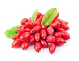 3 Adet Gojiberry fidanı