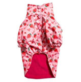 Gedyco Çilekli Polarlı Küçük Irk Köpek Yağmurluğu