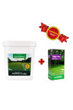 Gölge Alan Çim Tohumu 1 Kg - Prestige Ilk Tesis Çim Gübresi 10 Kg - 40 M2 Alan