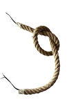 25 Mm Jüt Hasır Kablo (100 CM)