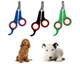 Evcil Hayvan Kedi Köpek Tırnak Makası Renkli