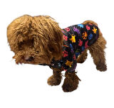 Gedyco Colorful Paws Polarlı Küçük Irk Köpek Yağmurluğu