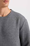 DeFacto Gri Regular Fit Bisiklet Yaka Jakarlı Sweatshirt D5392AX24AUGR371