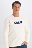 DeFacto Relax Fit Bisiklet Yaka Nakışlı Kalın Sweatshirt D2162AX24AUER98
