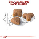 Royal Canin Sensible33 Sindirim Hassasiyeti Olan Kediler için Yetişkin Kuru Kedi Maması 15kg