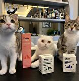 Premium Balık Yağı 200 ml (KEDİ VE KÖPEKLER İÇİN OMEGA 3 & 6 İÇERİKLİ BALIK YAĞI)