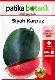 30 Adet Siyah Karpuz Tohumu