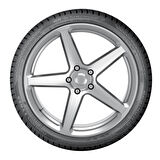 Nokian Tyres 245/45 R18 100V XL WR Snowproof P Kış Lastiği ( Üretim Yılı: 2023 )