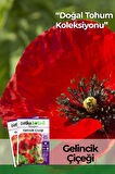 50 Adet Gelincik Çiçek Tohumu (Papaver Rhoeas)