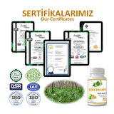 Cüce Palmiye Kapsül (SAW PALMETTO CAPSULE)