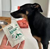 Köpekler için Kito Fresh Tanışma Paketi + Kito Multivitamin Bağışıklık Sistemi Destekleyici