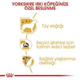 Royal Canin Yorkshire Terrier Yetişkin Kuru Köpek Maması 1.5kg