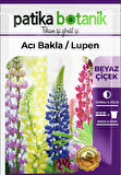 50 Adet Lupen/Acı Bakla Tohumu