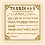 Tesbihane 925 Ayar Gümüş Püsküllü Küre Kesim Çoklu Kaplangözü Doğaltaş Kombinli Enerji Tesbihi
