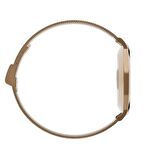 Fro LW43 Gold  Kasa 43 mm Gold Çelik Hasır Kordon Akıllı Saat