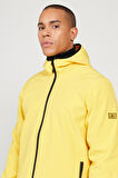 Erkek Sarı Standart Fit Normal Kesim Dik Yaka Softshell Mont