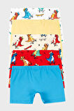 Lela Erkek Çocuk Boxer 6651005DINO