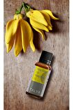 Ylang Ylang Yağı, 20 ml