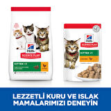 Hill's Kitten Chicken Tavuklu Yavru Kedi Maması 7 kg