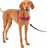 PetSafe Easy Walk No-Pull Köpek Göğüs Tasması, Çekmeyi Önlemeye Yardımcı, Kontrolü Ele Alın ve Tasmayla Daha İyi Yürümeyi Öğretin, Evcil Hayvanların Yürürken Çekmesini Önlemeye Yardımcı