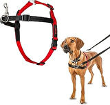 Company of Animals Halti Köpekler Önden Kontrollü Göğüs Tasması, Büyük Boy