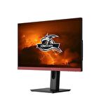 Dexim H238SG 23.8'' 165Hz 1ms (Hdmı+Dp) Freesync Adaptive Sync Full Hd Fast IPS Gaming Monitör - DMT003