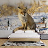 Kar Üzerinde Tilki Manzaralı Duvar Kağıdı