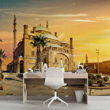 Kahire Mehmet Ali Paşa Camii Manzaralı Duvar Kağıdı