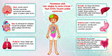 İç Organlarımız Okul Duvar Kağıdı Baskı