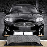 Jaguar Araba Duvar Kağıdı Baskı