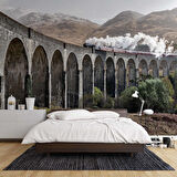 Köprü ve Lokomotif Manzaralı Duvar Kağıdı