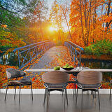 Sonbahar Doğa ve Nehir Manzaralı Duvar Kağıdı