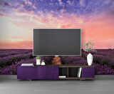 Lavanta Bahçesi Duvar Kağıdı