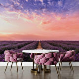 Lavanta Bahçesi Duvar Kağıdı