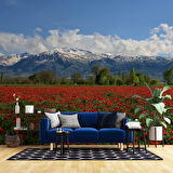 Erzincan Gelincik Manzaralı Duvar Kağıdı