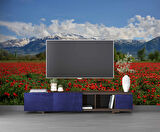 Erzincan Gelincik Manzaralı Duvar Kağıdı