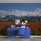 Erzincan Gelincik Manzaralı Duvar Kağıdı