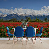 Erzincan Gelincik Manzaralı Duvar Kağıdı