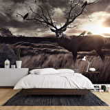 Gün Batımı Geyik ve Kuş Temalı Duvar Kağıdı