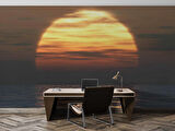 Günbatımı Deniz Manzaralı Duvar Kağıdı