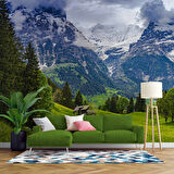 Karlı Dağ ve Yeşil Vadi Manzara Duvar Kağıdı