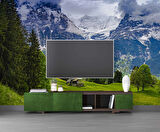 Karlı Dağ ve Yeşil Vadi Manzara Duvar Kağıdı